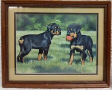 Rottweiler puppy dogs for sale  Fort Myers