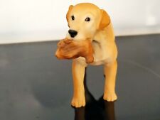 Golden labrador retriever for sale  Shipping to Ireland