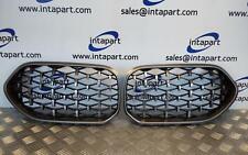 Kidney grille pair for sale  DAVENTRY