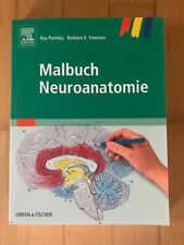 Malbuch neuroanatomie poritsky gebraucht kaufen  Neustadt an der Orla