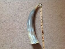 Polished cow horn for sale  SHEFFIELD