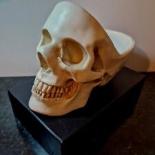 Skull ornament organiser for sale  NEWPORT