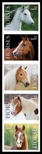 5891a 5895c horses d'occasion  Expédié en Belgium