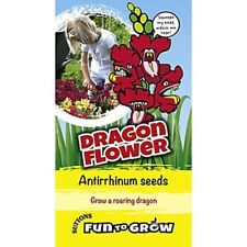 Dragon flower antirrhinum for sale  Ireland