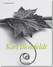 Karl blossfeldt adam gebraucht kaufen  Berlin