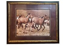 horses grazing framed photo for sale  Burbank