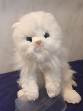 Angel white persian for sale  LEICESTER