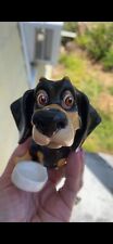 Little paws dachshund for sale  Orlando