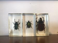 Bugs resin collection for sale  DERBY