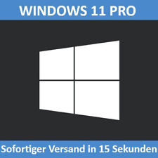 Microsoft windows professional gebraucht kaufen  Dinslaken