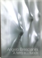 Angelo brescianini ferro... usato  Milano