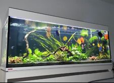Aquarium eheim incpiria gebraucht kaufen  Brackenheim