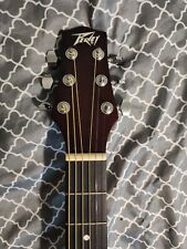 acoustic guitar peavey for sale  Daytona Beach