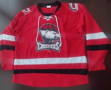 charlotte checkers for sale  Woodstock