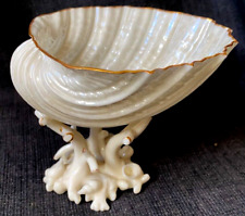 Irish belleek cardium for sale  LISKEARD