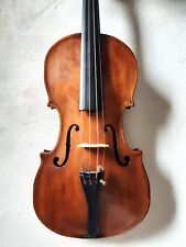 violino custodia usato  Vigevano