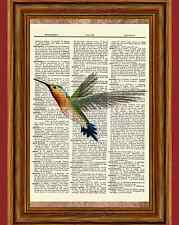 Hummingbird dictionary art for sale  Hernando