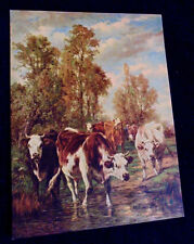 Mary dielerle cows for sale  Newark