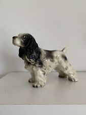 Vintage english springer for sale  Windham