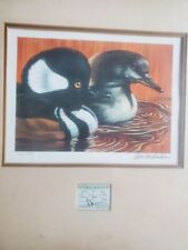 1978 california duck for sale  Stratford