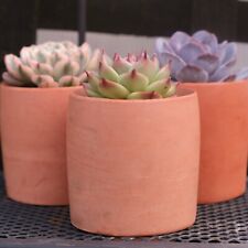 Succulent plant pots for sale  Shipping to Ireland