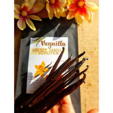 Südsee Tahiti Vanilleschoten - Vanilla Tahitensis (10-12cm) - Top Gourmet comprar usado  Enviando para Brazil