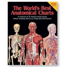 Best anatomical charts for sale  Montgomery