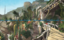 R671724 Jardin Exotique de Monaco. Massif de Pachycereus. Jardin Exotique. S. A. for sale  Shipping to South Africa