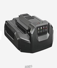 Ego volt lithium for sale  Nicholasville