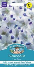 Nemophila five spot for sale  NEWMARKET