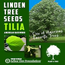 Linden tree seeds for sale  Fremont