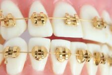 Soporte de ortodoncia dental de color dorado mini ranura 022 25-30 estuches parrilla segunda mano  Embacar hacia Mexico