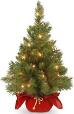 Christmas Trees for sale  Lakewood