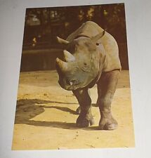 ältere nashorn rhino gebraucht kaufen  Haßmersheim