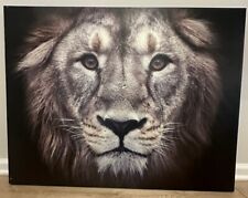 Portrait lion canvas for sale  Myrtle Beach