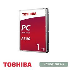 Toshiba hard disk usato  Napoli