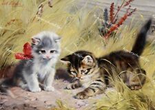 Używany, Julius Adam Monachium Koty Dzieci Kotek Baby cat kitten gatto gato chat na sprzedaż  Wysyłka do Poland