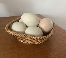 Vintage ceramic egg for sale  CHELMSFORD