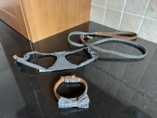 Puppies first collar for sale  TAMWORTH
