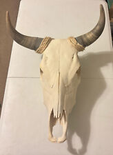 Cow skull 18w for sale  San Antonio