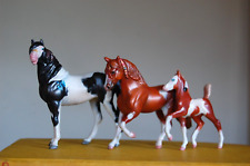 pinto horse for sale  CANTERBURY
