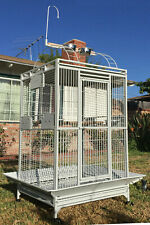 Extra large parrot for sale  Pomona