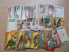 Cigarette cards job for sale  REDCAR