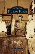 Pigeon forge hardcover for sale  Montgomery