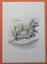 Polar fox ice for sale  Shipping to Ireland