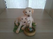 Country artists puppies for sale  NEWTON ABBOT