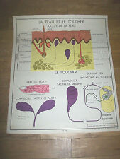 1950 affiche scolaire d'occasion  Champigneulles