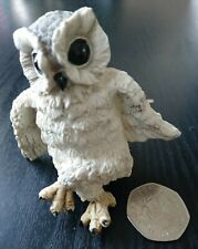 Small white owl for sale  STOKE-ON-TRENT