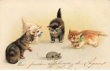 Chats mk46070 chatons d'occasion  France
