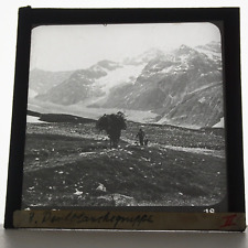 Schweizer alpen fotoplatte gebraucht kaufen  Stadthagen